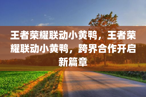 王者荣耀联动小黄鸭，王者荣耀联动小黄鸭，跨界合作开启新篇章