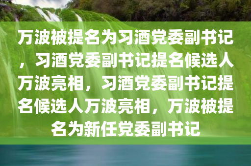 万波被提名为习酒党委副书记，习酒党委副书记提名候选人万波亮相，习酒党委副书记提名候选人万波亮相，万波被提名为新任党委副书记
