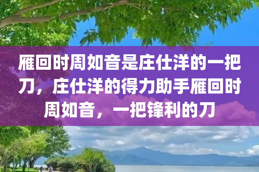 雁回时周如音是庄仕洋的一把刀，庄仕洋的得力助手雁回时周如音，一把锋利的刀
