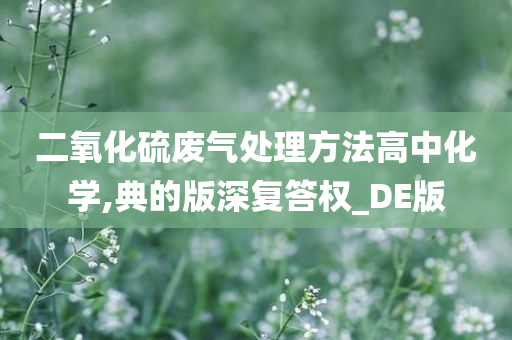 二氧化硫废气处理方法高中化学,典的版深复答权_DE版