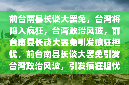 前台南县长谈大罢免，台湾将陷入疯狂，台湾政治风波，前台南县长谈大罢免引发疯狂担忧，前台南县长谈大罢免引发台湾政治风波，引发疯狂担忧