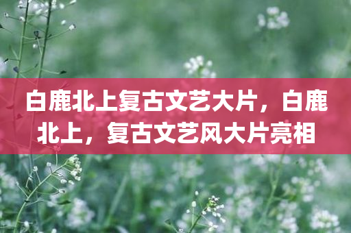 白鹿北上复古文艺大片，白鹿北上，复古文艺风大片亮相