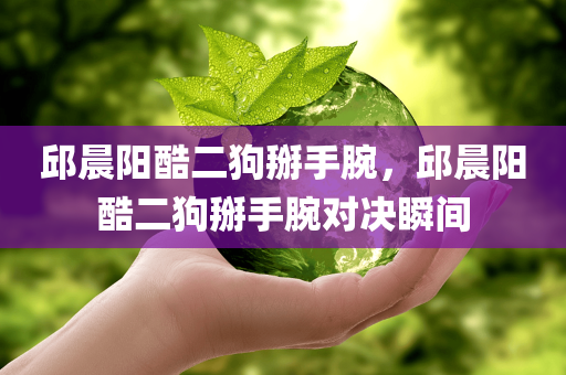 邱晨阳酷二狗掰手腕，邱晨阳酷二狗掰手腕对决瞬间