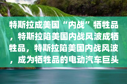 特斯拉成美国“内战”牺牲品，特斯拉陷美国内战风波成牺牲品，特斯拉陷美国内战风波，成为牺牲品的电动汽车巨头