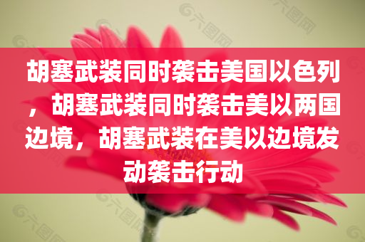 胡塞武装同时袭击美国以色列，胡塞武装同时袭击美以两国边境，胡塞武装在美以边境发动袭击行动