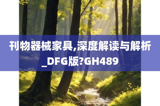 刊物器械家具,深度解读与解析_DFG版?GH489
