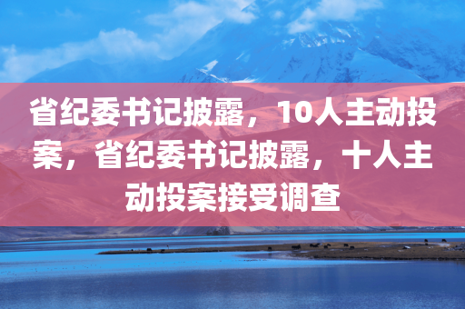 省纪委书记披露，10人主动投案，省纪委书记披露，十人主动投案接受调查