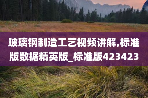 玻璃钢制造工艺视频讲解,标准版数据精英版_标准版423423