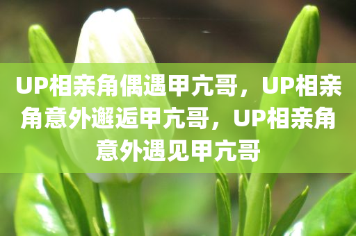 UP相亲角偶遇甲亢哥，UP相亲角意外邂逅甲亢哥，UP相亲角意外遇见甲亢哥