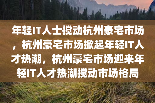 年轻IT人士搅动杭州豪宅市场，杭州豪宅市场掀起年轻IT人才热潮，杭州豪宅市场迎来年轻IT人才热潮搅动市场格局