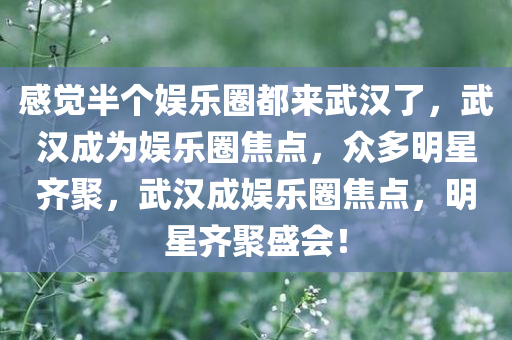 感觉半个娱乐圈都来武汉了，武汉成为娱乐圈焦点，众多明星齐聚，武汉成娱乐圈焦点，明星齐聚盛会！