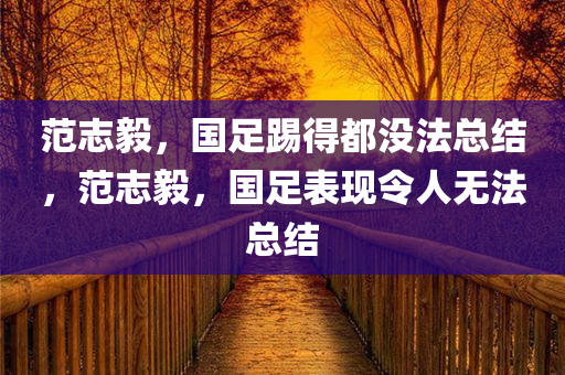 范志毅，国足踢得都没法总结，范志毅，国足表现令人无法总结