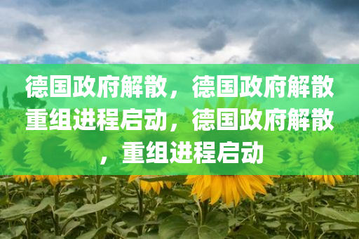 德国政府解散，德国政府解散重组进程启动，德国政府解散，重组进程启动
