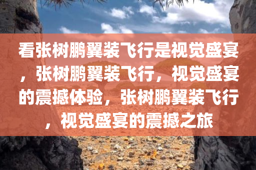 看张树鹏翼装飞行是视觉盛宴，张树鹏翼装飞行，视觉盛宴的震撼体验，张树鹏翼装飞行，视觉盛宴的震撼之旅