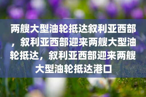 两艘大型油轮抵达叙利亚西部，叙利亚西部迎来两艘大型油轮抵达，叙利亚西部迎来两艘大型油轮抵达港口