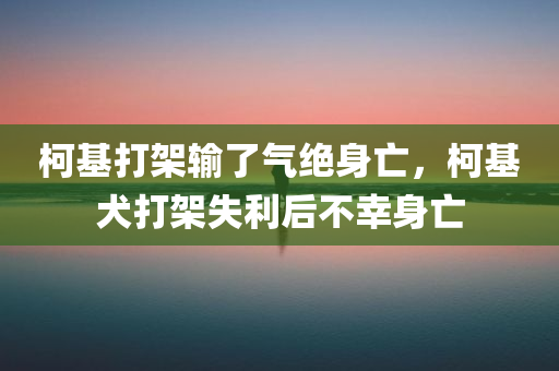 柯基打架输了气绝身亡，柯基犬打架失利后不幸身亡，柯基犬打架失利后不幸身亡，一场悲剧的讲述