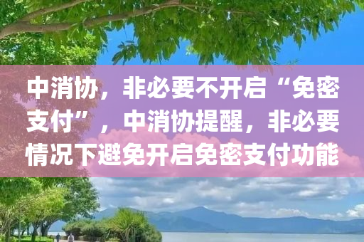 中消协，非必要不开启“免密支付”，中消协提醒，非必要情况下避免开启免密支付功能