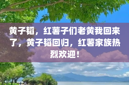 黄子韬，红薯子们老黄我回来了，黄子韬回归，红薯家族热烈欢迎！