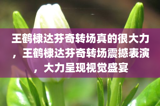 王鹤棣达芬奇转场真的很大力，王鹤棣达芬奇转场震撼表演，大力呈现视觉盛宴，王鹤棣达芬奇转场，震撼视觉盛宴的大力呈现