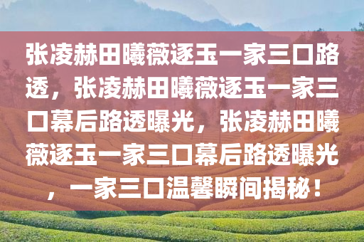 张凌赫田曦薇逐玉一家三口路透，张凌赫田曦薇逐玉一家三口幕后路透曝光，张凌赫田曦薇逐玉一家三口幕后路透曝光，一家三口温馨瞬间揭秘！