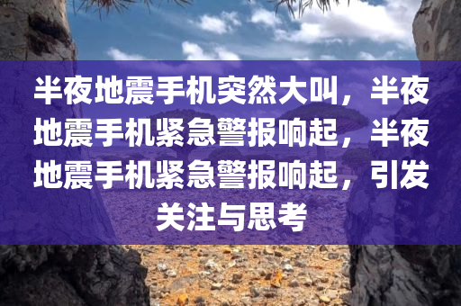 半夜地震手机突然大叫，半夜地震手机紧急警报响起，半夜地震手机紧急警报响起，引发关注与思考