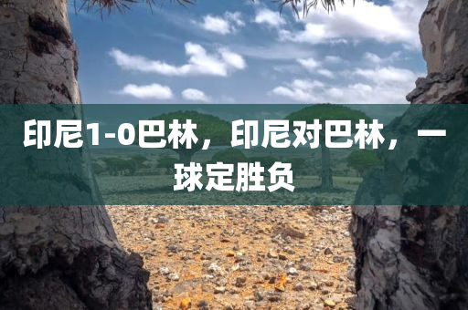 印尼1-0巴林，印尼对巴林，一球定胜负，印尼与巴林对决，一球决胜的较量