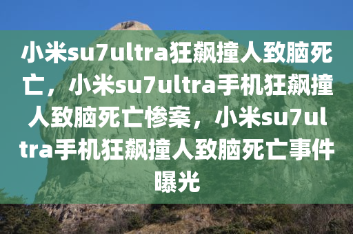 小米su7ultra狂飙撞人致脑死亡，小米su7ultra手机狂飙撞人致脑死亡惨案，小米su7ultra手机狂飙撞人致脑死亡事件曝光