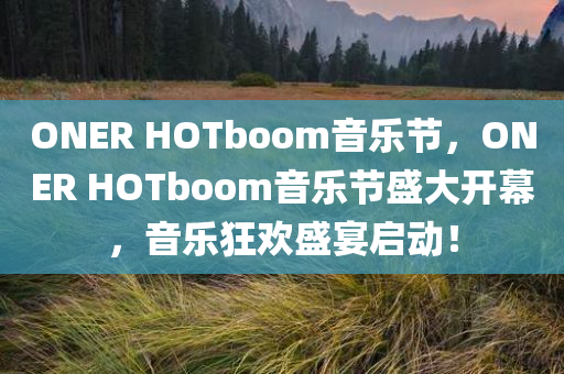 ONER HOTboom音乐节，ONER HOTboom音乐节盛大开幕，音乐狂欢盛宴启动！，ONER HOTboom音乐节启幕，音乐狂欢盛宴盛大开启！