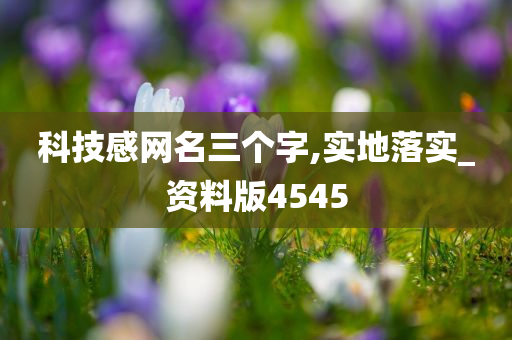 科技感网名三个字,实地落实_资料版4545