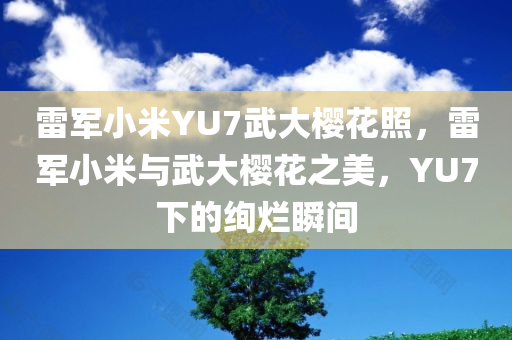 雷军小米YU7武大樱花照，雷军小米与武大樱花之美，YU7下的绚烂瞬间，雷军小米YU7镜头下的武大樱花绚烂之美
