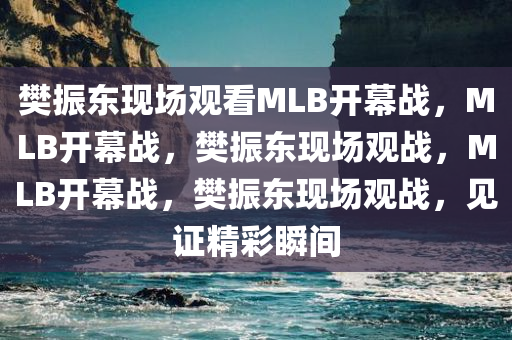 樊振东现场观看MLB开幕战，MLB开幕战，樊振东现场观战，MLB开幕战，樊振东现场观战，见证精彩瞬间