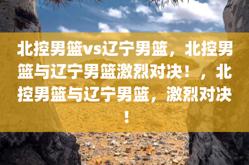 北控男篮vs辽宁男篮，北控男篮与辽宁男篮激烈对决！，北控男篮与辽宁男篮，激烈对决！