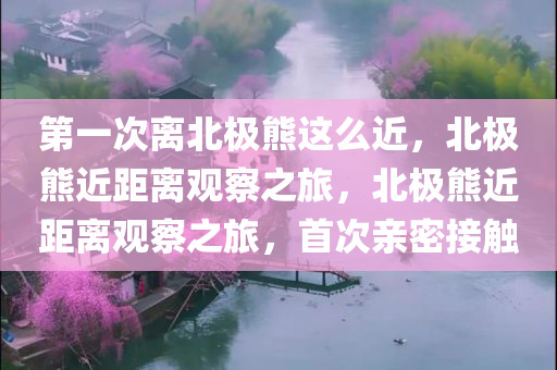 第一次离北极熊这么近，北极熊近距离观察之旅，北极熊近距离观察之旅，首次亲密接触
