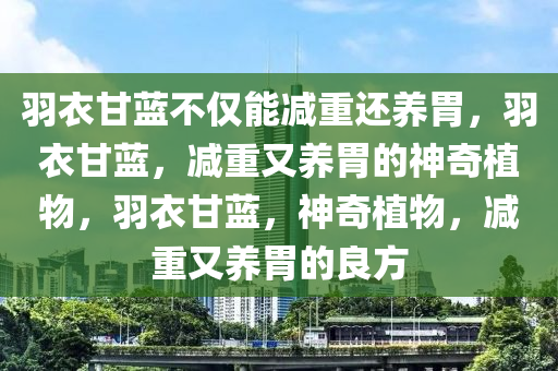 羽衣甘蓝不仅能减重还养胃，羽衣甘蓝，减重又养胃的神奇植物，羽衣甘蓝，神奇植物，减重又养胃的良方