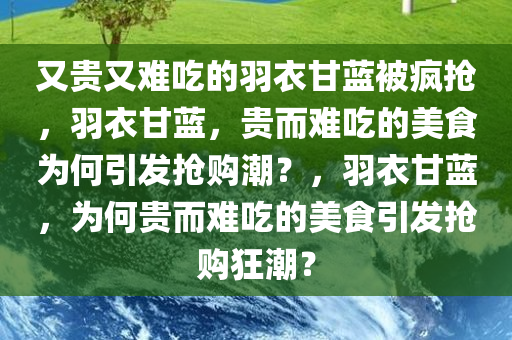 又贵又难吃的羽衣甘蓝被疯抢，羽衣甘蓝，贵而难吃的美食为何引发抢购潮？，羽衣甘蓝，为何贵而难吃的美食引发抢购狂潮？