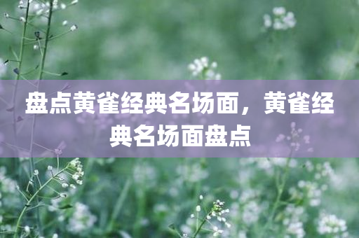 盘点黄雀经典名场面，黄雀经典名场面盘点，黄雀经典名场面回顾，精彩瞬间大盘点