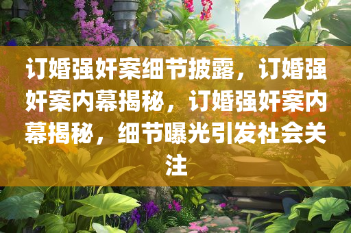订婚强奸案细节披露，订婚强奸案内幕揭秘，订婚强奸案内幕揭秘，细节曝光引发社会关注