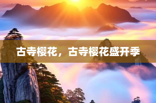 古寺樱花，古寺樱花盛开季