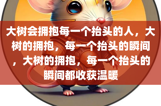 大树会拥抱每一个抬头的人，大树的拥抱，每一个抬头的瞬间，大树的拥抱，每一个抬头的瞬间都收获温暖