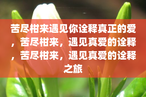苦尽柑来遇见你诠释真正的爱，苦尽柑来，遇见真爱的诠释，苦尽柑来，遇见真爱的诠释之旅
