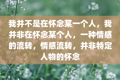 我并不是在怀念某一个人，我并非在怀念某个人，一种情感的流转，情感流转，并非特定人物的怀念