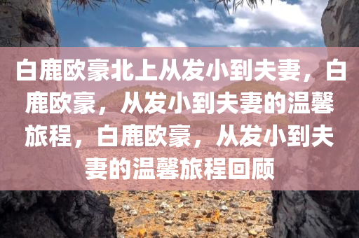 白鹿欧豪北上从发小到夫妻，白鹿欧豪，从发小到夫妻的温馨旅程，白鹿欧豪，从发小到夫妻的温馨旅程回顾