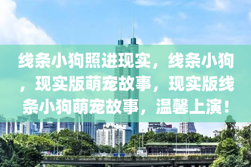 线条小狗照进现实，线条小狗，现实版萌宠故事，现实版线条小狗萌宠故事，温馨上演！