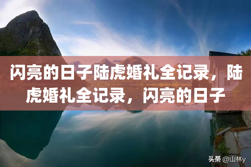 闪亮的日子陆虎婚礼全记录，陆虎婚礼全记录，闪亮的日子
