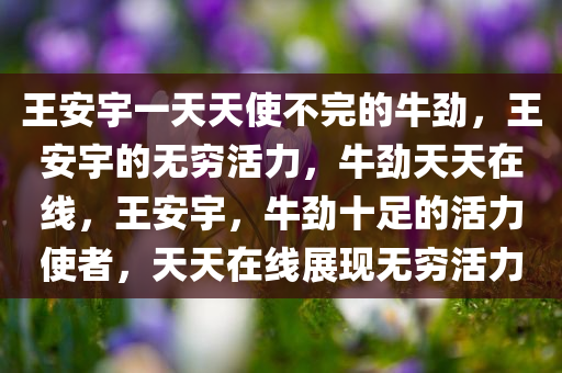 王安宇一天天使不完的牛劲，王安宇的无穷活力，牛劲天天在线，王安宇，牛劲十足的活力使者，天天在线展现无穷活力