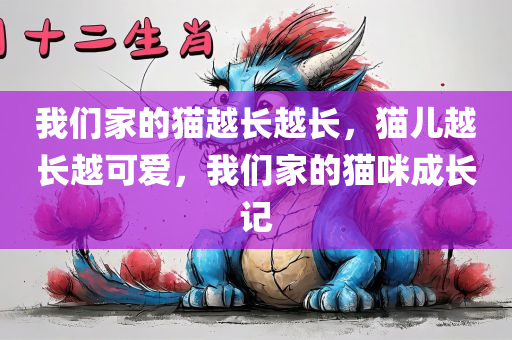 我们家的猫越长越长，猫儿越长越可爱，我们家的猫咪成长记
