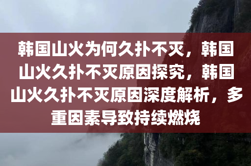 韩国山火为何久扑不灭，韩国山火久扑不灭原因探究，韩国山火久扑不灭原因深度解析，多重因素导致持续燃烧