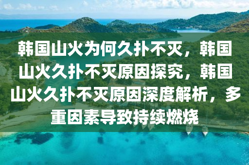 韩国山火为何久扑不灭，韩国山火久扑不灭原因探究，韩国山火久扑不灭原因深度解析，多重因素导致持续燃烧