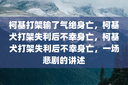 柯基打架输了气绝身亡，柯基犬打架失利后不幸身亡，柯基犬打架失利后不幸身亡，一场悲剧的讲述