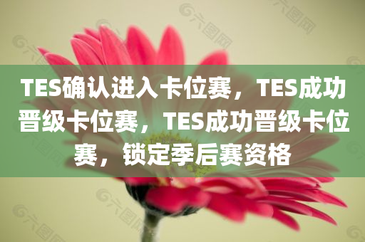 TES确认进入卡位赛，TES成功晋级卡位赛，TES成功晋级卡位赛，锁定季后赛资格